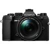 Top ponuda Olympus OM-D E-M5 Mark III Mirrorless Digital Camera with 14-150mm Lens (Black) - LaptopPlaza uvoz i distribucija laptopova, projektora i druge IT opreme