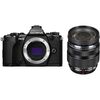 Top ponuda Olympus OM-D E-M5 Mark II Mirrorless Micro Four Thirds Digital Camera with 12-40mm Lens Kit (Black) - LaptopPlaza uvoz i distribucija laptopova, projektora i druge IT opreme