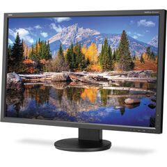 NEC MultiSync EA304WMI 30" Class IPS LED Monitor