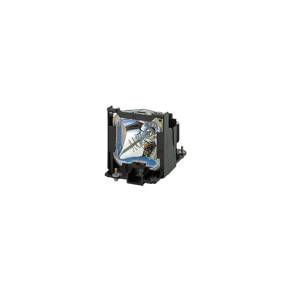 Panasonic Replacement Lamp for PRM- 10/20